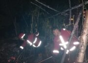 Kebakaran di Parak Gadang Timur, Pondok Hangus Dilalap Api