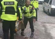 Respons Cepat Tim Pengurai Ditlantas Polda Sumbar, Jalan Berlubang di Lembah Anai Ditimbun Demi Keselamatan Pengendara