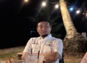 Rahmat Saleh Genjot Hilirisasi Gambir di Pessel, Bibit hingga Industri Disiapkan